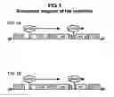 Fig. 02 - Method for simultaneous production of multiple proteins; vectors and cells for use therein