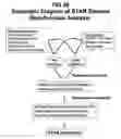 Fig. 22 - Method for simultaneous production of multiple proteins; vectors and cells for use therein