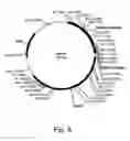 Fig. 07 - Polypeptide from a cellulolytic fungus having cellulolytic enhancing activity