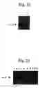 Fig. 08 - Carcinostatic agent