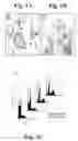Fig. 02 - Trophoblast cell preparations