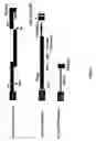 Fig. 02 - Recombinant bovine immunodeficiency virus based gene transfer system