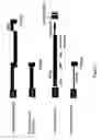 Fig. 03 - Recombinant bovine immunodeficiency virus based gene transfer system