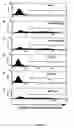 Fig. 04 - Recombinant bovine immunodeficiency virus based gene transfer system