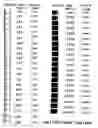 Fig. 02 - Kit for estimation of chemical oxygen demand