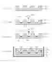 Fig. 04 - Method of forming electrode for flat display panel