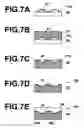 Fig. 08 - Method of and apparatus for producing micro lens and micro lens