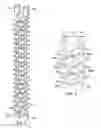 Fig. 05 - Via structure of packages for high frequency semiconductor devices