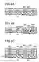 Fig. 05 - Semiconductor device and wiring forming method in semiconductor device