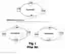 Fig. 02 - Device for connecting a wireless network to at least one other network