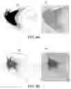 Fig. 09 - Methods and apparatus for sharing cell coverage information