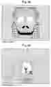 Fig. 76 - Gaming machine with game effect