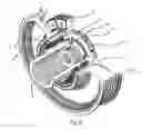 Fig. 03 - Apparatus for transmitting a torque from a motor to a compressor