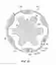 Fig. 09 - Flexible couplings