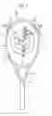 Fig. 02 - Tennis racket