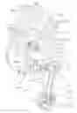 Fig. 01 - Bicycle derailleur