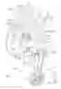 Fig. 04 - Bicycle derailleur
