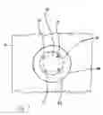 Fig. 08 - Whistling punching bag