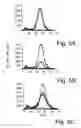 Fig. 06 - Eosinophil Major Basic Protein as a natural heparanase-inhibiting protein, compositions, methods and uses thereof