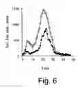 Fig. 07 - Eosinophil Major Basic Protein as a natural heparanase-inhibiting protein, compositions, methods and uses thereof