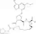 Fig. 137 - Macrocyclic peptides active against the hepatitis C virus