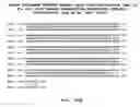 Fig. 37 - Methods and materials relating to novel polypeptides and polynucleotides