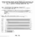 Fig. 45 - Methods and materials relating to novel polypeptides and polynucleotides