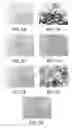 Fig. 02 - Dipeptide apoptosis inhibitors and the use thereof