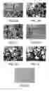 Fig. 03 - Dipeptide apoptosis inhibitors and the use thereof
