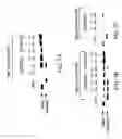 Fig. 07 - Dipeptide apoptosis inhibitors and the use thereof