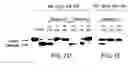Fig. 08 - Dipeptide apoptosis inhibitors and the use thereof