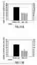 Fig. 12 - Dipeptide apoptosis inhibitors and the use thereof