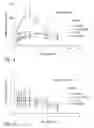 Fig. 04 - Compositions and methods for treating or preventing diseases of body passageways