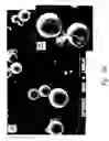 Fig. 09 - Compositions and methods for treating or preventing diseases of body passageways