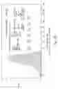Fig. 47 - Compositions and methods for treating or preventing diseases of body passageways