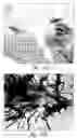 Fig. 65 - Compositions and methods for treating or preventing diseases of body passageways