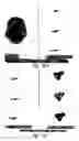 Fig. 68 - Compositions and methods for treating or preventing diseases of body passageways
