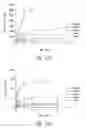 Fig. 74 - Compositions and methods for treating or preventing diseases of body passageways