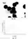 Fig. 76 - Compositions and methods for treating or preventing diseases of body passageways