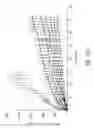 Fig. 80 - Compositions and methods for treating or preventing diseases of body passageways