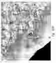 Fig. 85 - Compositions and methods for treating or preventing diseases of body passageways