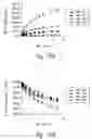 Fig. 91 - Compositions and methods for treating or preventing diseases of body passageways