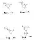 Fig. 02 - Antisense antibacterial cell division composition and method