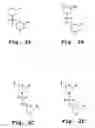 Fig. 03 - Antisense antibacterial cell division composition and method