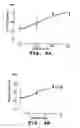 Fig. 05 - Antisense antibacterial cell division composition and method