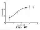 Fig. 06 - Antisense antibacterial cell division composition and method