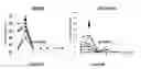 Fig. 04 - Compositions and methods for the systemic treatment of arthritis