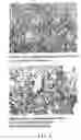 Fig. 02 - Treatment of tumours