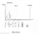Fig. 07 - Treatment of tumours