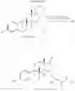Fig. 124 - 17β-hydroxysteroid dehydrogenase type I inhibitors